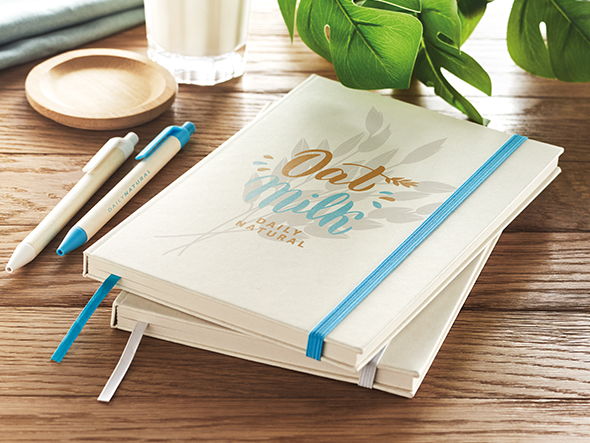 Riciclo Confezioni di Latte: Idee e Gadget Eco